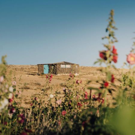 Succah In The Desert Mitzpe Ramon Dış mekan fotoğraf