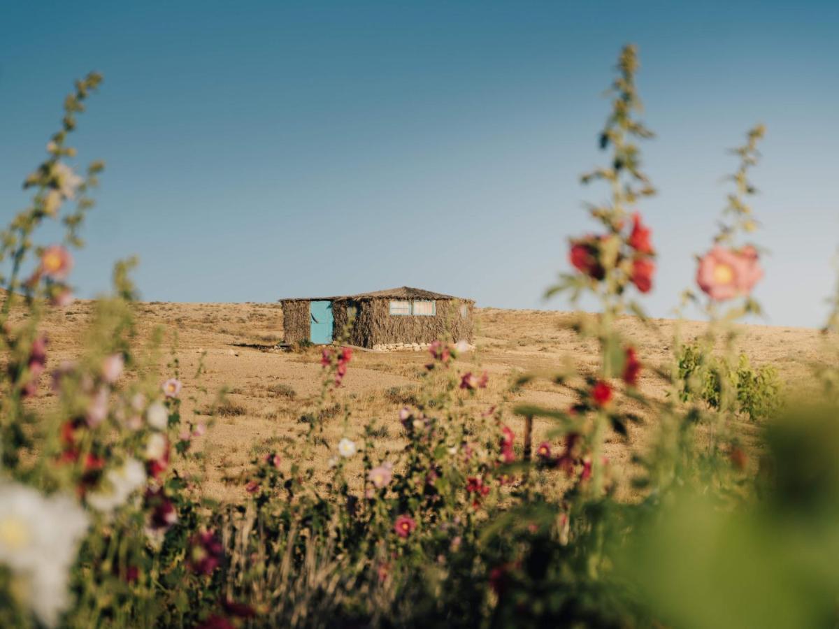 Succah In The Desert Mitzpe Ramon Dış mekan fotoğraf