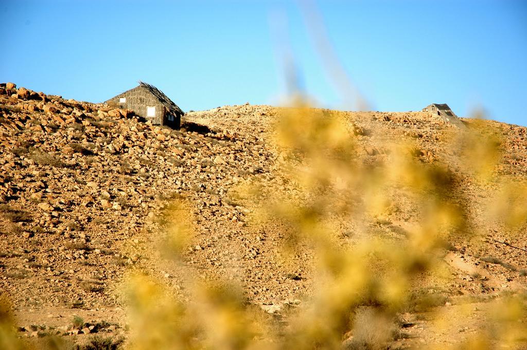 Succah In The Desert Mitzpe Ramon Dış mekan fotoğraf