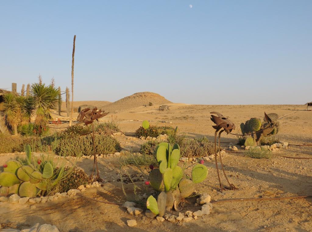 Succah In The Desert Mitzpe Ramon Dış mekan fotoğraf