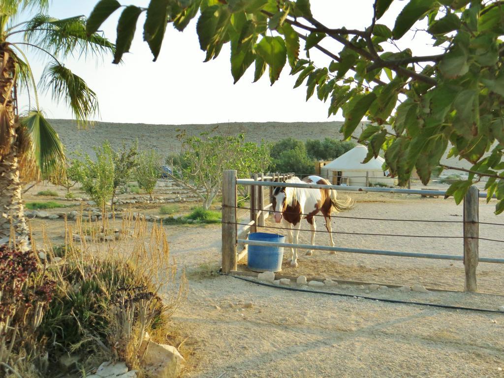 Succah In The Desert Mitzpe Ramon Dış mekan fotoğraf