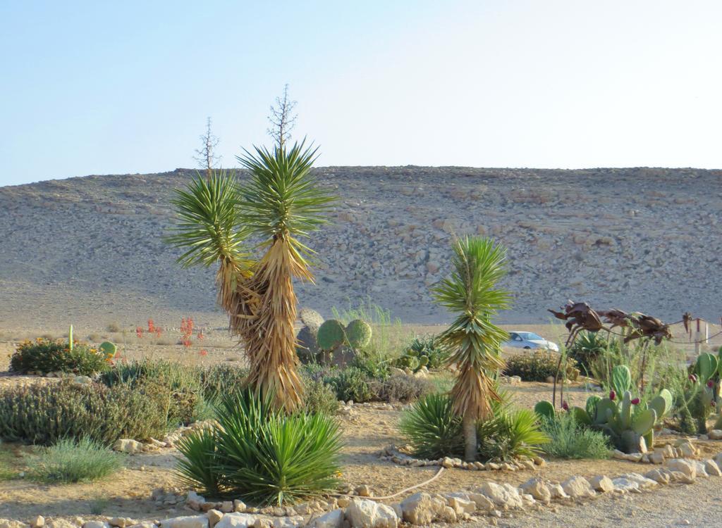 Succah In The Desert Mitzpe Ramon Dış mekan fotoğraf