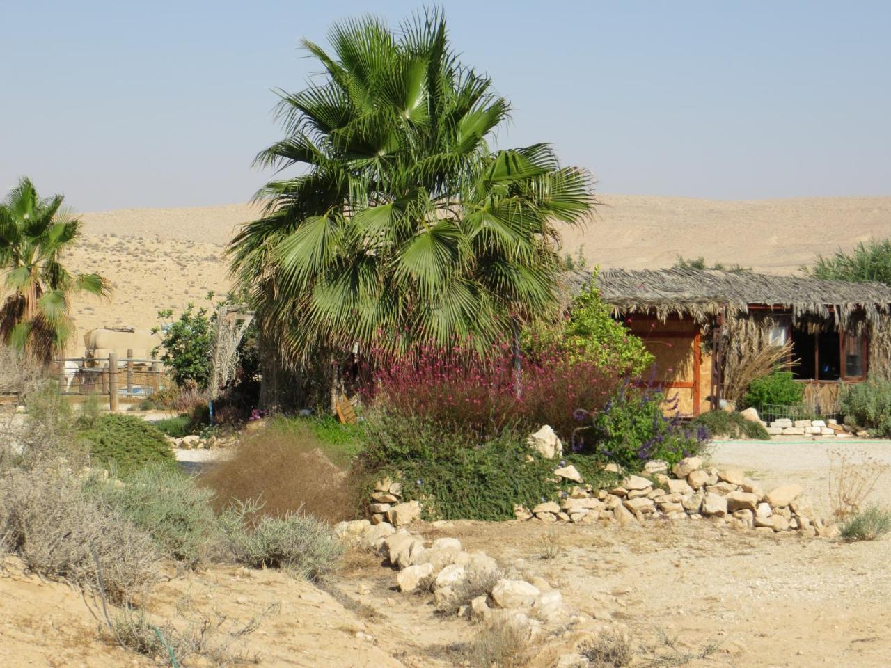 Succah In The Desert Mitzpe Ramon Dış mekan fotoğraf