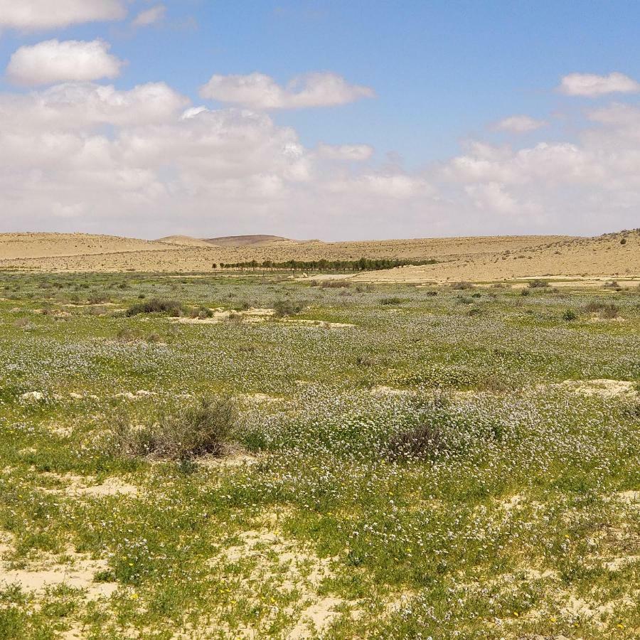 Succah In The Desert Mitzpe Ramon Dış mekan fotoğraf